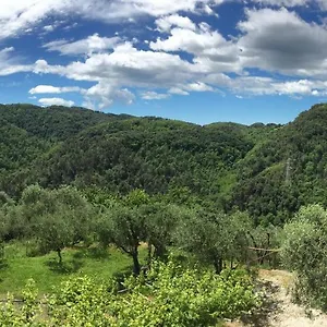 Appartamento Caddelovi, Fibbialla