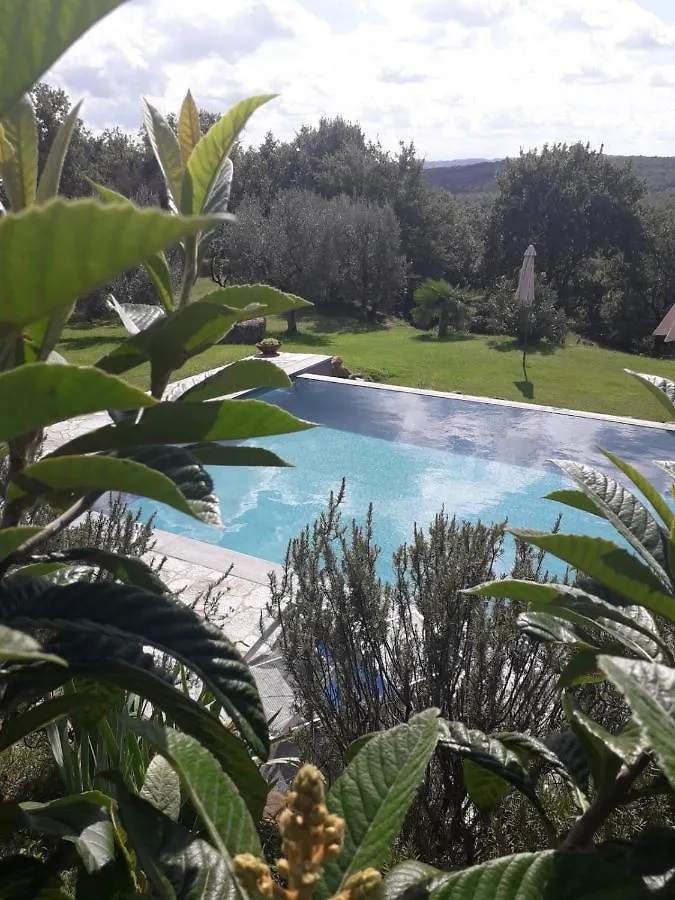 Casa vacanze Villa Casolare il Moro Monte San Savino