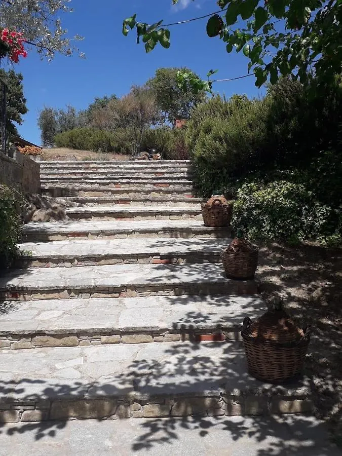 Villa Casolare il Moro Monte San Savino 0*,