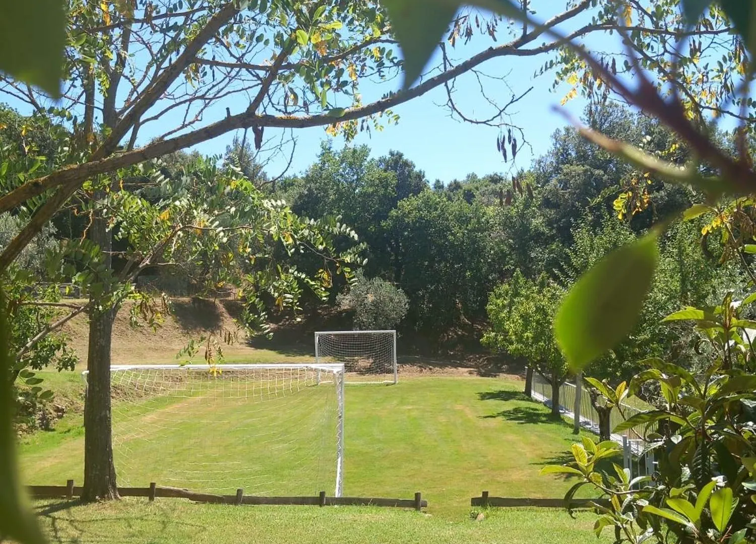 Villa Casolare il Moro Monte San Savino Casa vacanze