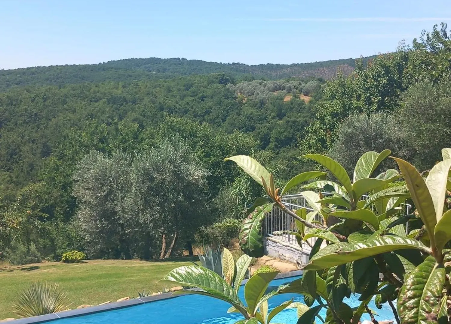 Villa Casolare il Moro Monte San Savino Casa vacanze