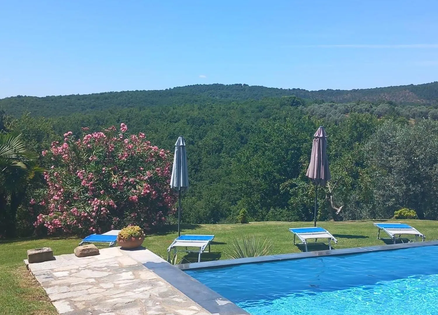 Villa Casolare il Moro Monte San Savino Casa vacanze