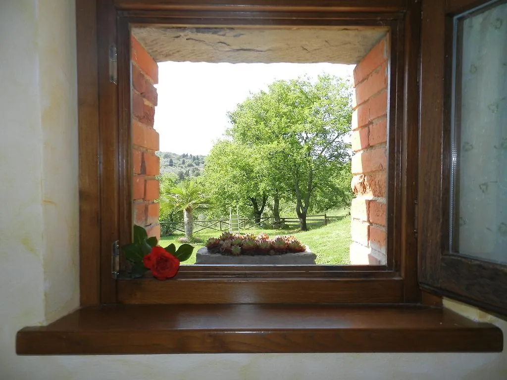 Villa Casolare il Moro Monte San Savino Casa vacanze